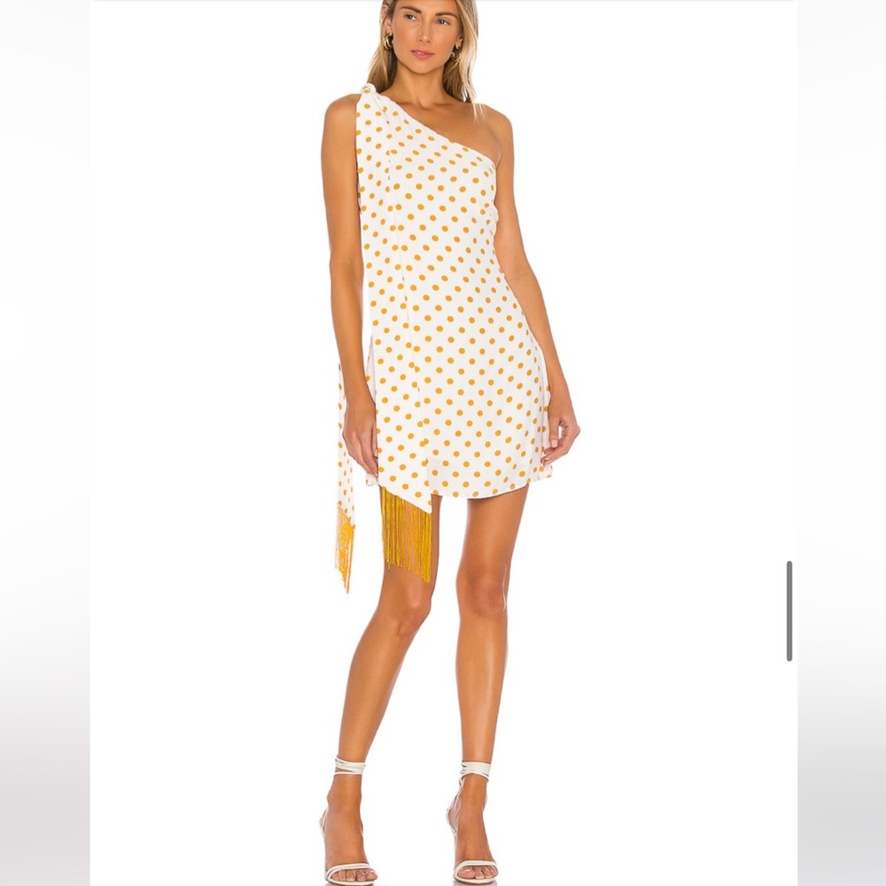 House of Harlow 1960 x Revolve Dress
